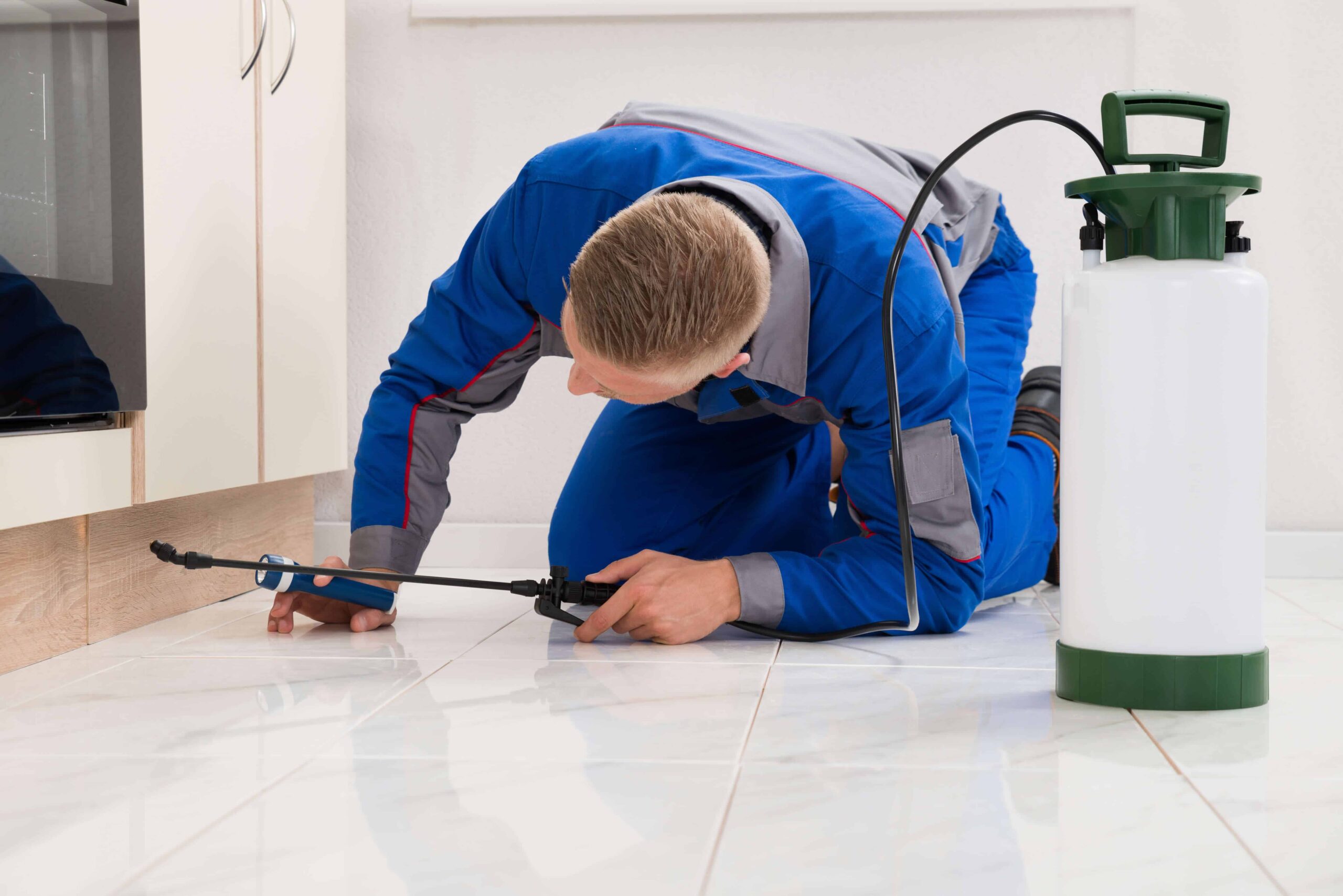 exterminator on knees spraying under cabinets