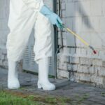 pest-control-vs-animal-control-whats-the-difference